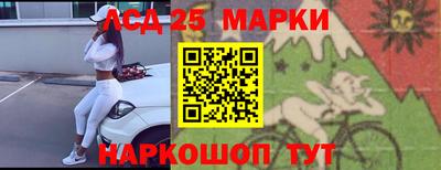 apvp Камышлов
